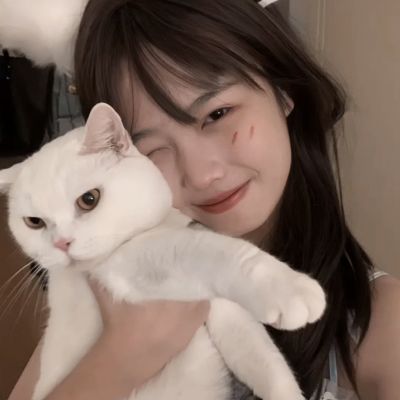 御龙弑天官方版下载